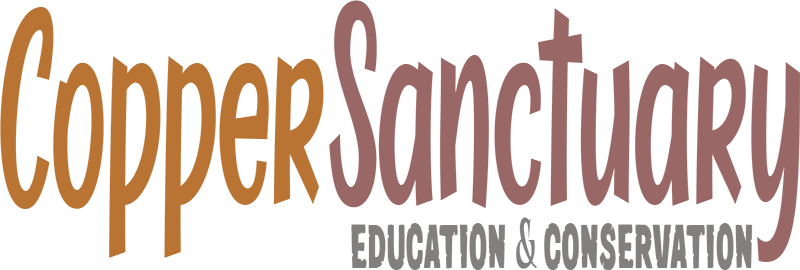 Copper Sanctuary logo on light background